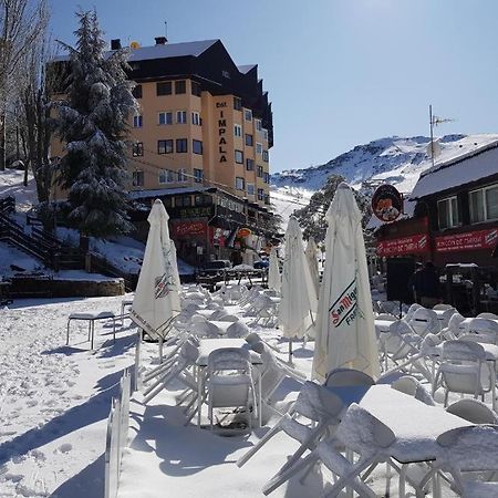 Apartamento Superior Sierra Nevada Apartment Екстериор снимка